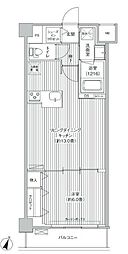 目黒テラス 1階1LDKの間取り