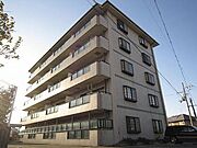 深井駅より徒歩10分 1階 築31年5ヶ月の賃貸物件