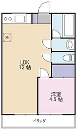 コーポ光和 2階1LDKの間取り