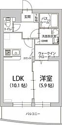 クーチャ 万願寺1 1階/211
