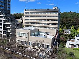 コージィーコート