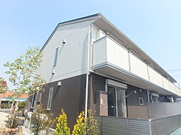 シン・オオヌキソウ