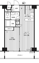 フォルマーレ新中野 8階1LDKの間取り