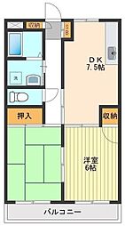 カーサラルゴ 2DKの間取図画像