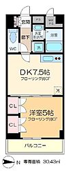 JR総武本線 錦糸町駅 徒歩5分の賃貸マンション 5階1DKの間取り