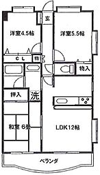 サニークレスト西船橋 5階3LDKの間取り