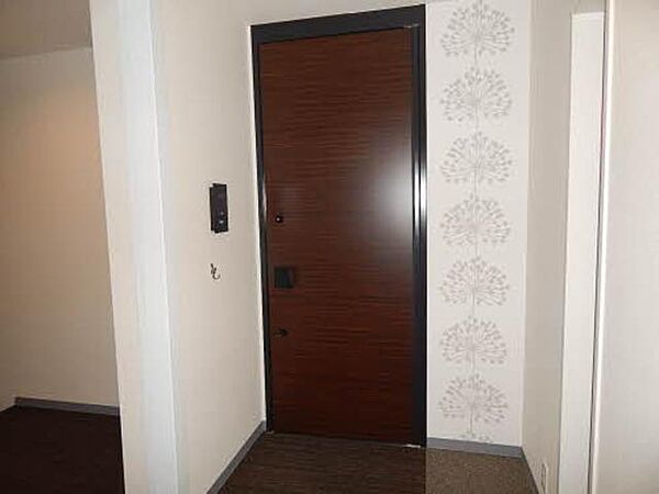 画像14:玄関扉は重厚感があり建物の品質の良さを感じさせてくれます。