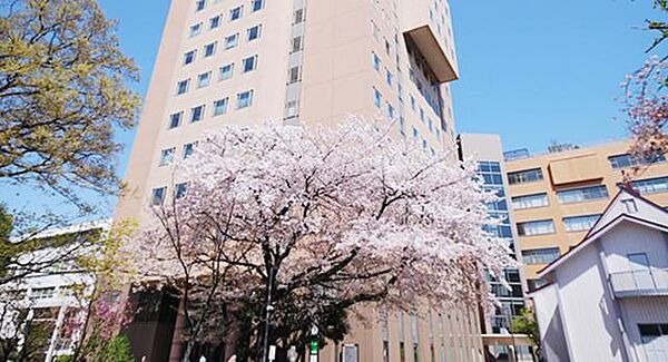 画像28:私立日本女子大学人間社会学部 817m