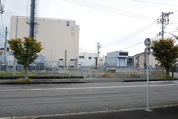 ジュネス・M_その他_2