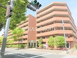 クリサンテーム妙典