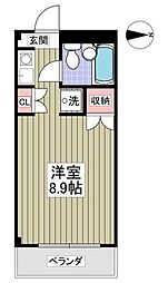 メゾンブランシュ三鷹新川 2階ワンルームの間取り