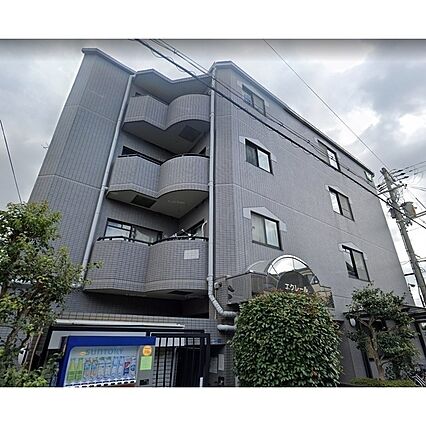 セントポーリアアビコ_トップ画像