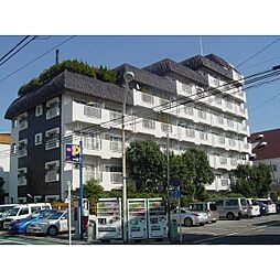 ヴィラウエルス