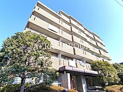 グレイスコート