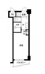 スカイコート目白台 5階1Kの間取り