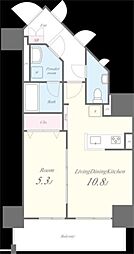 ルーツ文京音羽 11階1LDKの間取り