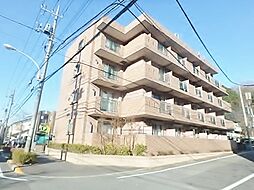 サザンストリーム