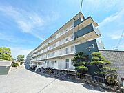 グリーンハイツ松原 2階 築41年9ヶ月の賃貸物件