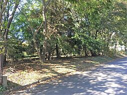 栃木県日光市猪倉