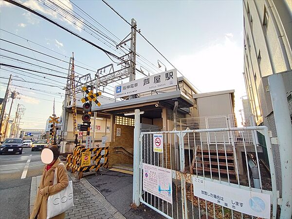 画像29:阪神芦屋駅周辺約400ｍ