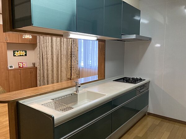 detached 岩手県九戸郡洋野町大野第６４地割
地図を見る