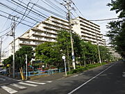 梅島駅より徒歩6分 築44年 12階建の賃貸物件