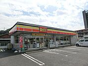 デイリーヤマサキ(300m)