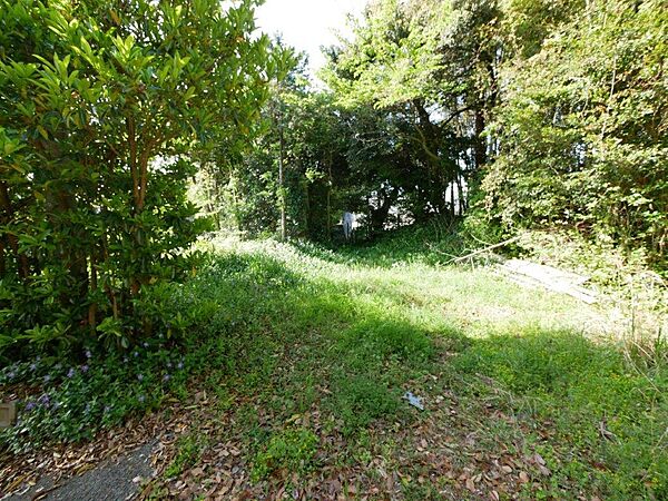 敷地内の写真です。広々275坪の土地です。