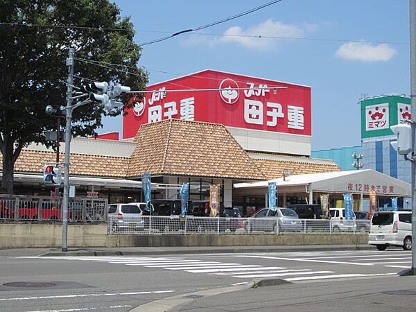 画像17:スーパー田子重 下川原店（828m）