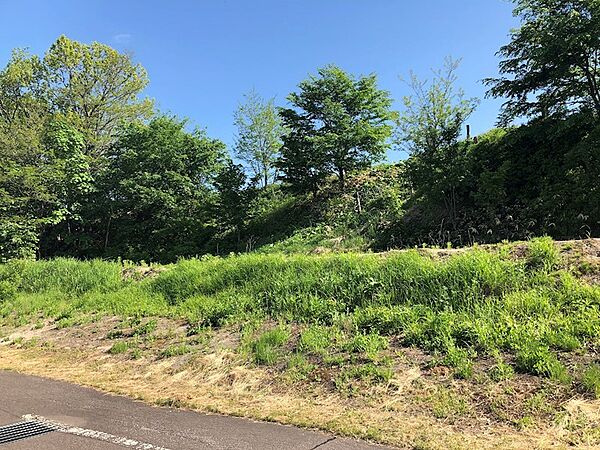 外観：301000086953