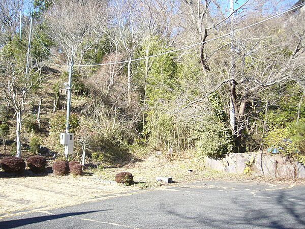 道路面は平坦です。