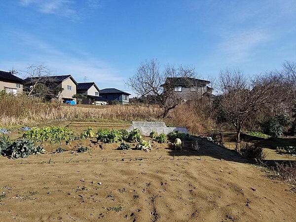 静かな環境が好きな方、のんびり家庭菜園をされたい方にぴったりの土地です。