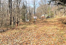 長野原町北軽井沢　売土地 1353-989の土地画像