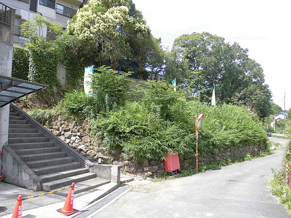 外観：329000133619