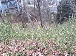 栃木県那須烏山市月次