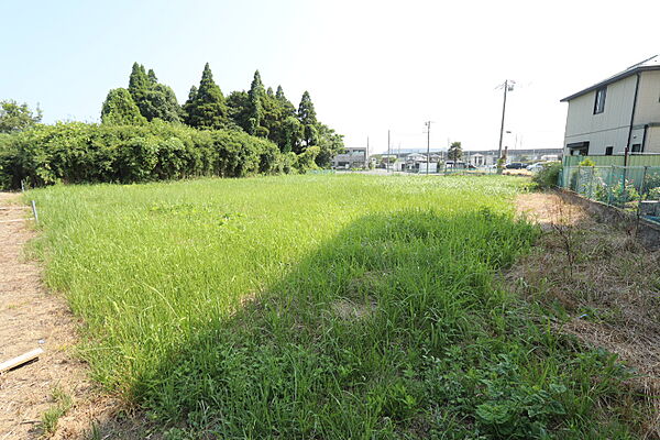 敷地北側から南方向