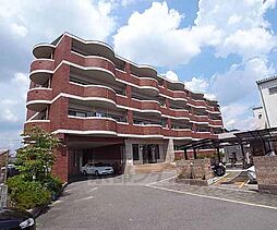 クイーンズコート久津川