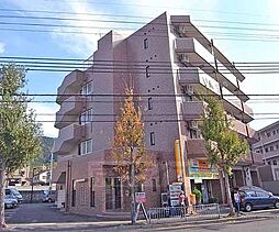 コスモスフローラ醍醐