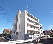 カーサ辻久 4階 築49年1ヶ月の賃貸物件