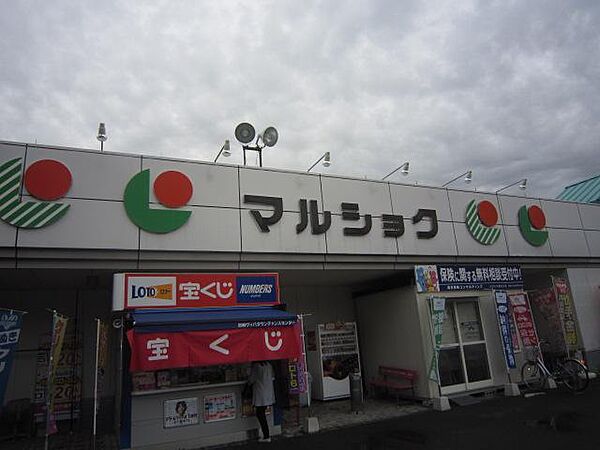 セジュール長友A棟 ｜宮崎県宮崎市清武町加納4丁目(賃貸アパート2LDK・2階・46.93㎡)の写真 その29