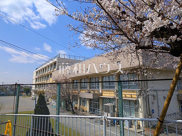 三鷹市立羽沢小学校 (590m)