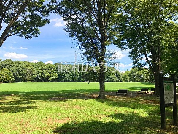 神代植物公園自由広場 (1020m)