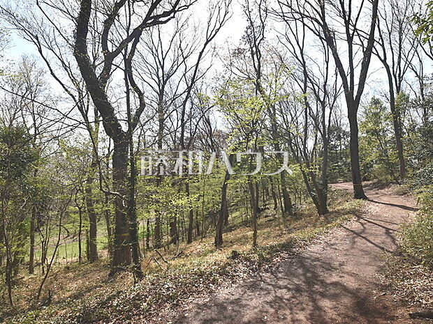 都立八国山緑地 (1560m)