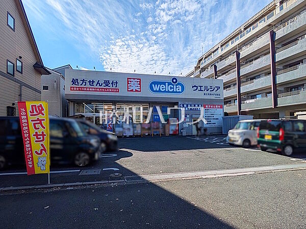 ウエルシア富士見東みずほ台店 (1000m)