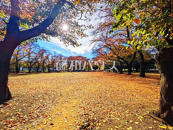 みずほ台中央公園 (1240m)