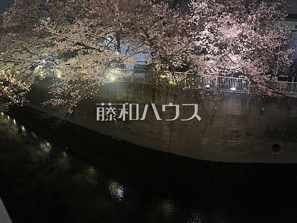 近隣を流れる神田川沿いには桜の木が植えられえいるため、お花見が楽しめそうですね♪　【ヴィラロイヤル東中野】