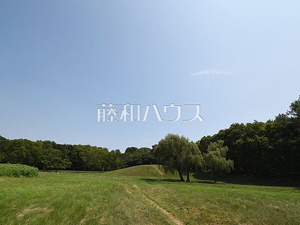 都立武蔵野公園 (1040m)