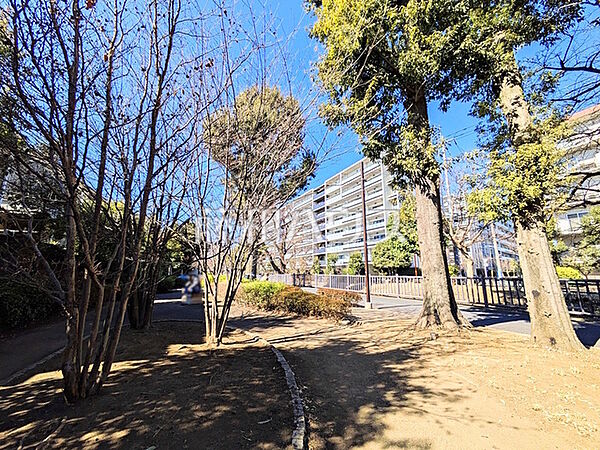 こうしん橋公園 (340m)