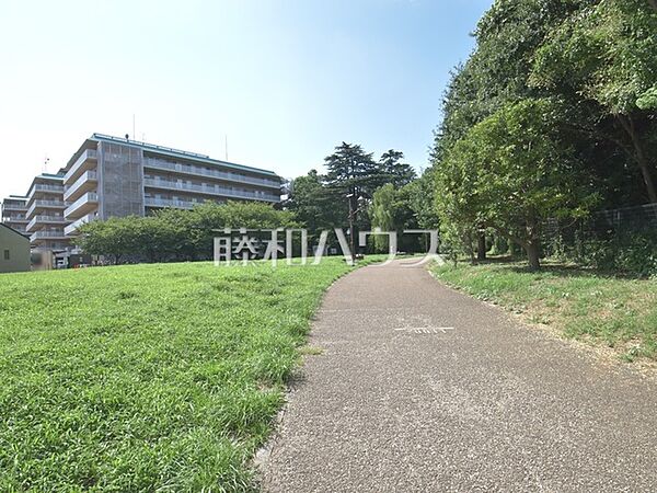 中野区立江古田の森公園 (580m)
