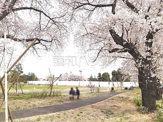 都立高井戸公園 (1530m)